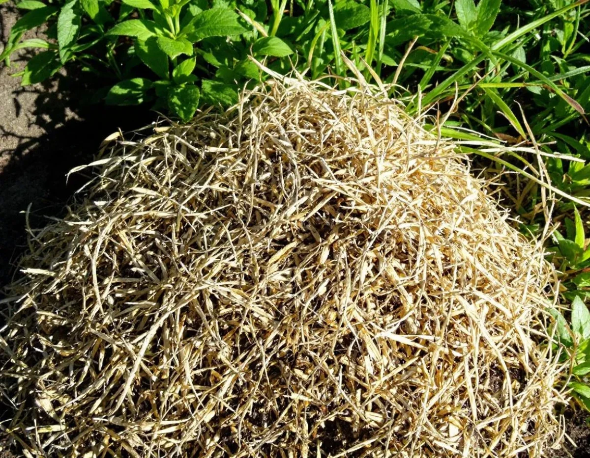 L'Assurance Multirisque Agricole : Protection Complète Pour le Monde Agricole